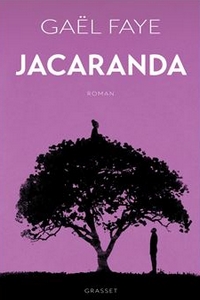 Image - Jacaranda